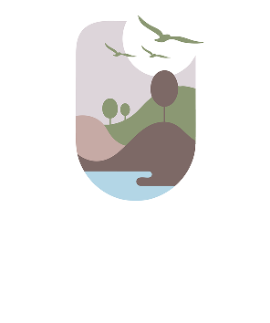 Vaadi Logo